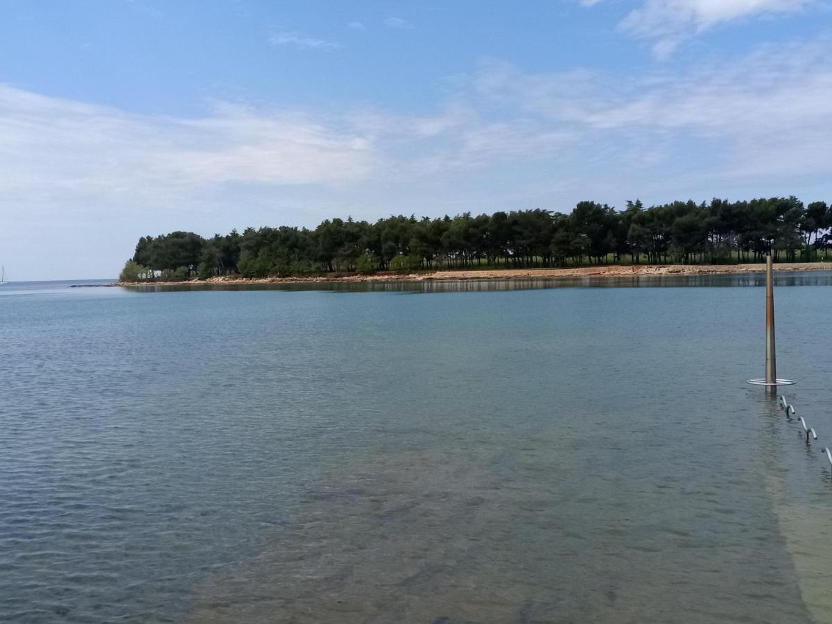 Apartments Ingrid Novigrad  Bagian luar foto