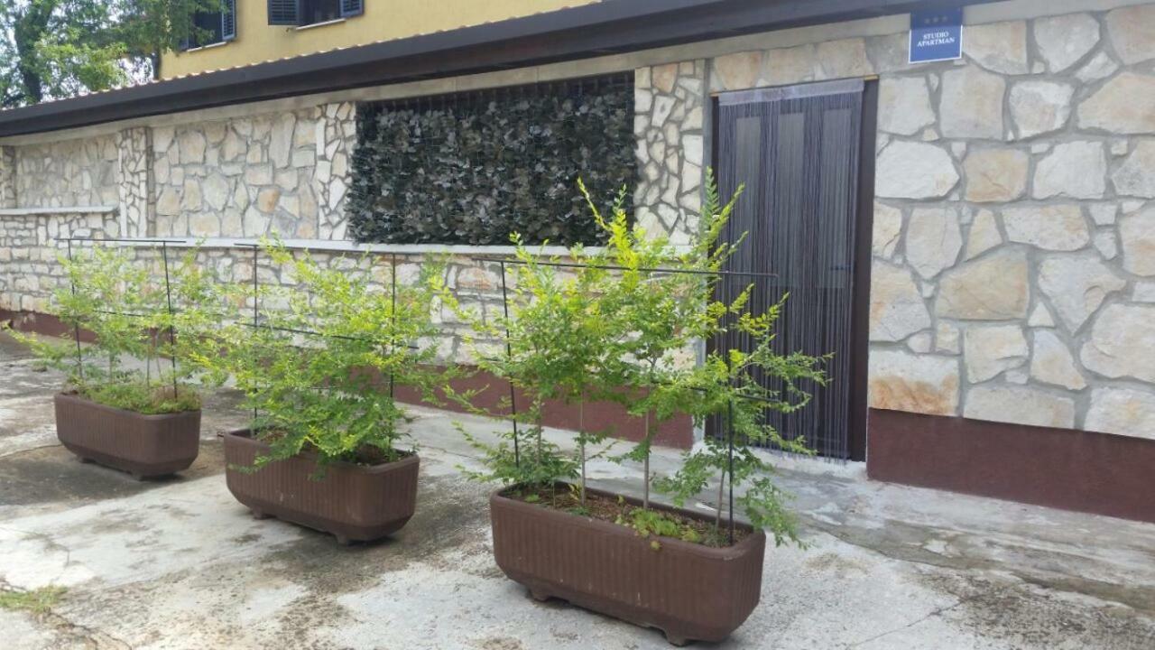 Apartments Ingrid Novigrad  Bagian luar foto